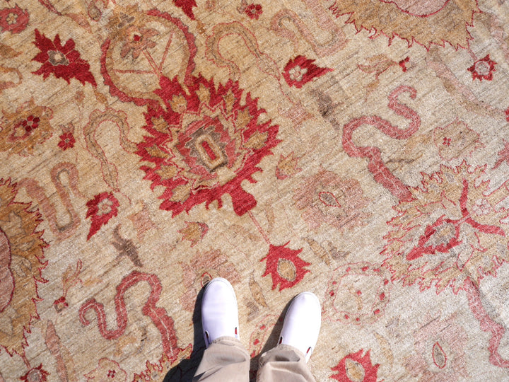 Ziegler Mahal Rug – 545 x 396 cm (17.9 x 13 ft / 214 x 156 in) – Hand-knotted in Afghanistan