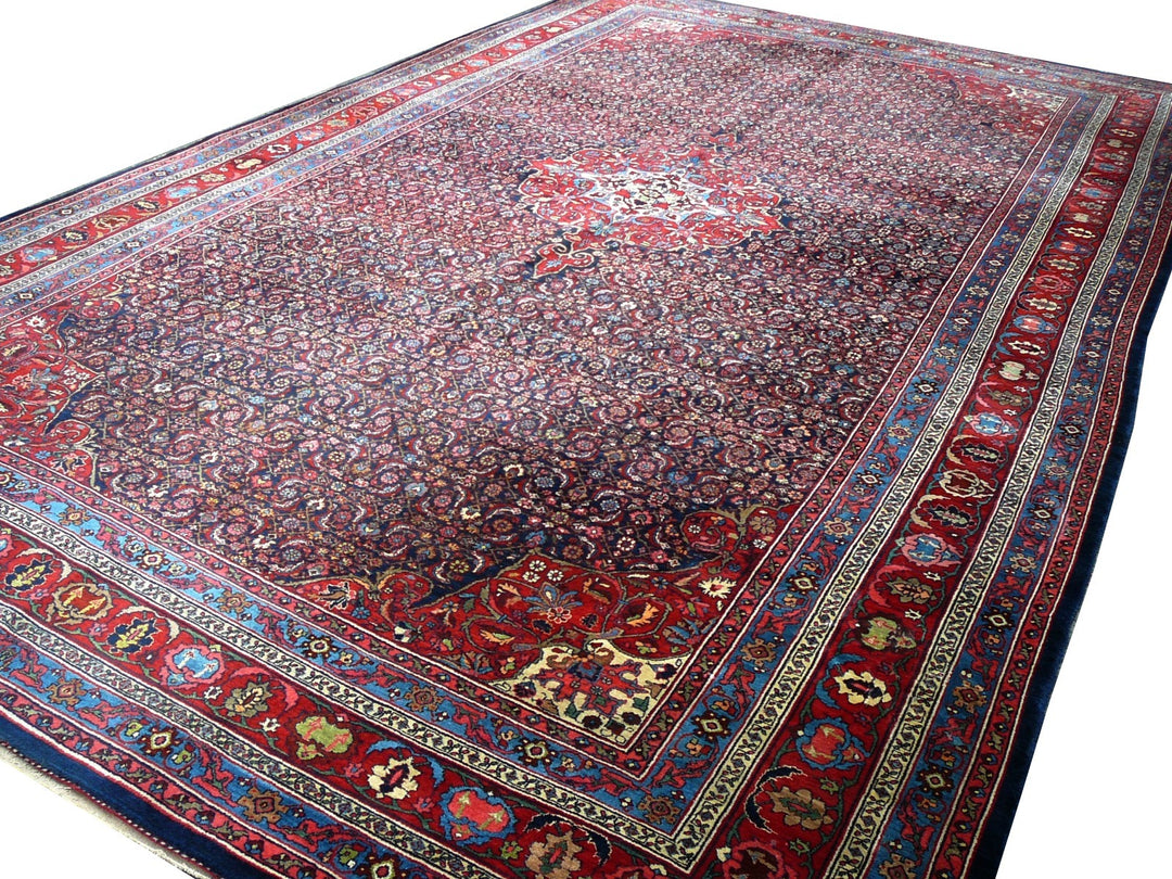 Large Persian Rug 10x17, Open Field, Red and Navy Blue, Palace Sized  Oversized Hand Knotted Wool Oriental Carpet Flowers Vases Antique 1920s -   Canada